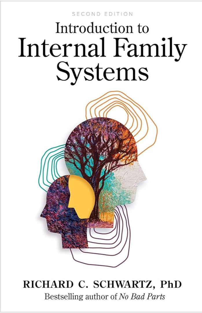 Introduction to Internal Family Systems Paperback – by Richard Schwartz