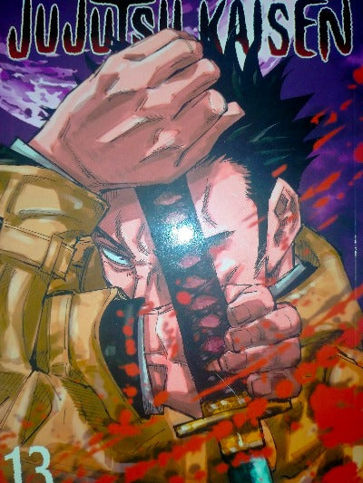 jujutsukaisenvol13