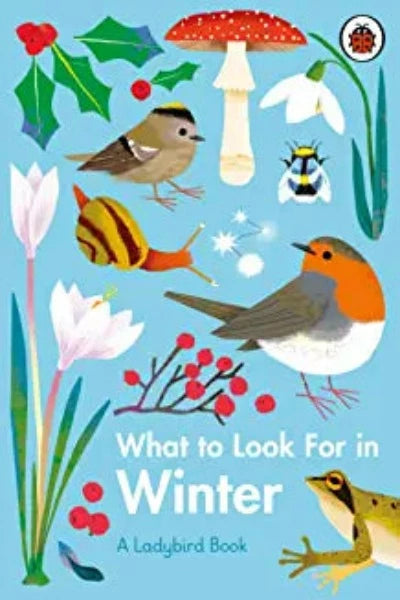 what-to-look-for-in-winter-a-ladybird-book-hardcover-by-elizabeth-jenner-natasha-durley