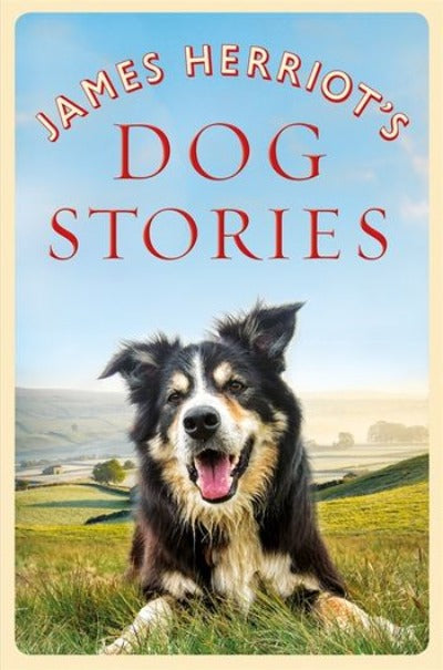 james-herriots-dog-stories-paperback-by-james-herriot