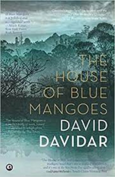 the-house-of-blue-mangoes-paperback-by-david-davidar